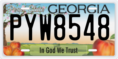 GA license plate PYW8548