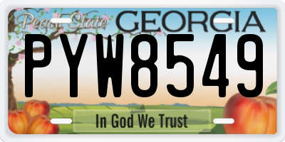 GA license plate PYW8549