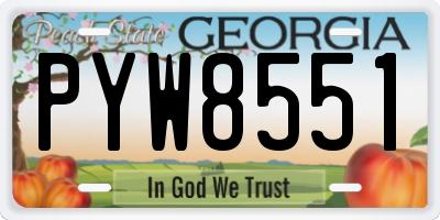GA license plate PYW8551