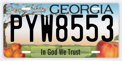 GA license plate PYW8553