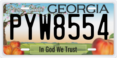 GA license plate PYW8554