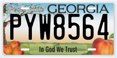 GA license plate PYW8564