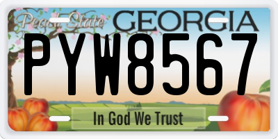 GA license plate PYW8567