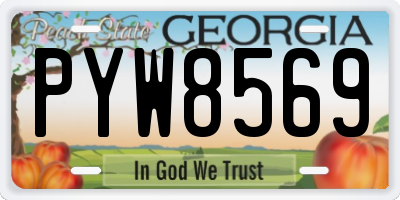 GA license plate PYW8569