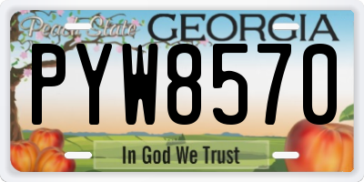 GA license plate PYW8570