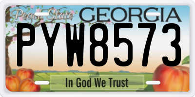 GA license plate PYW8573