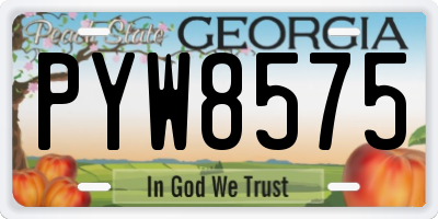 GA license plate PYW8575