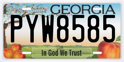 GA license plate PYW8585