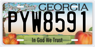 GA license plate PYW8591