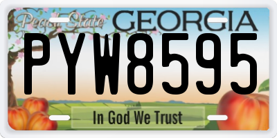 GA license plate PYW8595