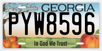 GA license plate PYW8596