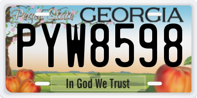 GA license plate PYW8598