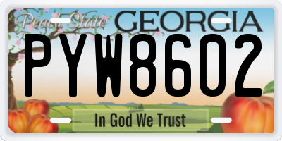 GA license plate PYW8602