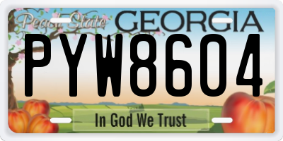 GA license plate PYW8604