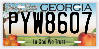 GA license plate PYW8607