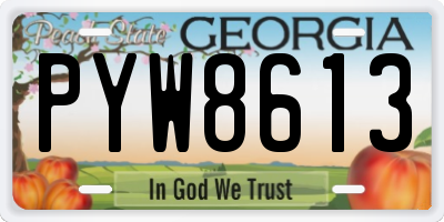 GA license plate PYW8613