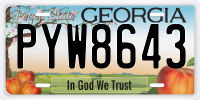 GA license plate PYW8643