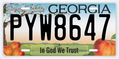 GA license plate PYW8647
