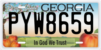 GA license plate PYW8659