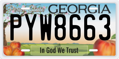 GA license plate PYW8663