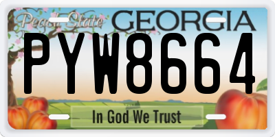 GA license plate PYW8664