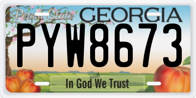GA license plate PYW8673