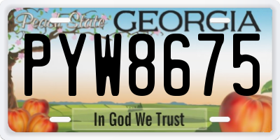 GA license plate PYW8675