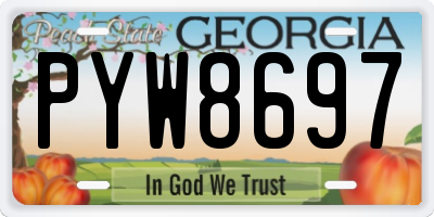 GA license plate PYW8697