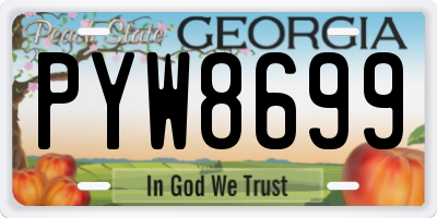 GA license plate PYW8699