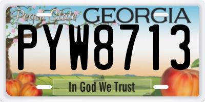 GA license plate PYW8713