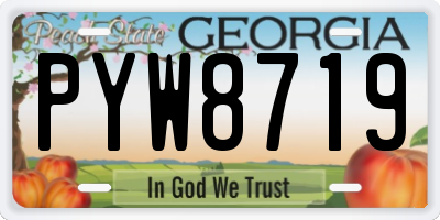 GA license plate PYW8719