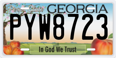 GA license plate PYW8723