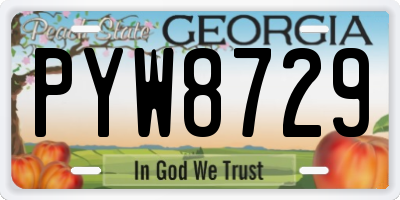 GA license plate PYW8729