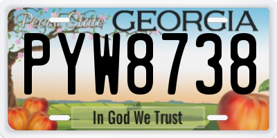 GA license plate PYW8738