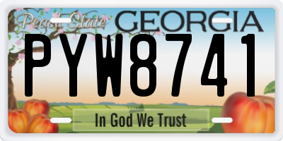GA license plate PYW8741