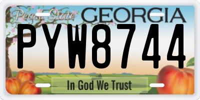 GA license plate PYW8744