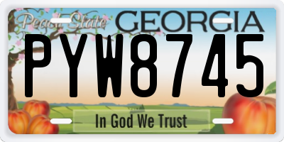 GA license plate PYW8745