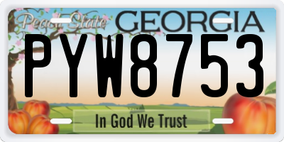 GA license plate PYW8753
