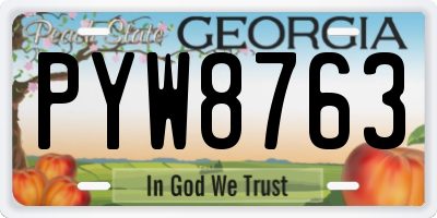 GA license plate PYW8763