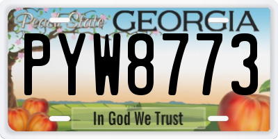 GA license plate PYW8773