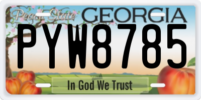 GA license plate PYW8785