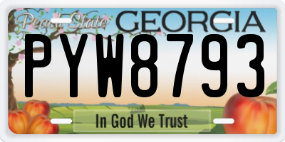 GA license plate PYW8793