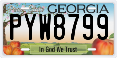 GA license plate PYW8799