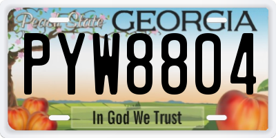 GA license plate PYW8804