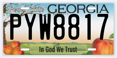 GA license plate PYW8817