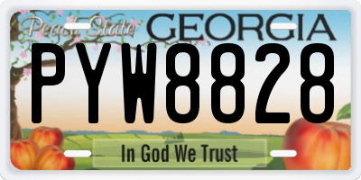 GA license plate PYW8828