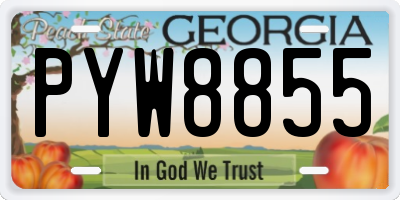 GA license plate PYW8855