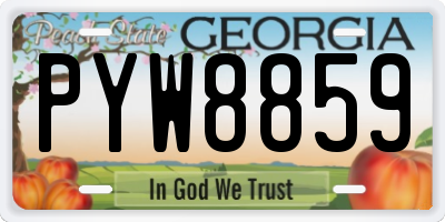 GA license plate PYW8859