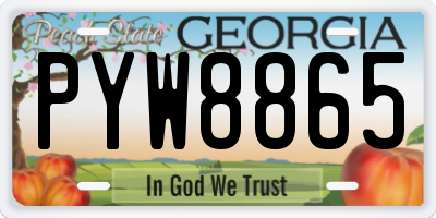 GA license plate PYW8865