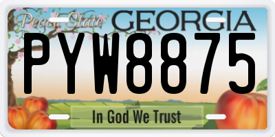 GA license plate PYW8875